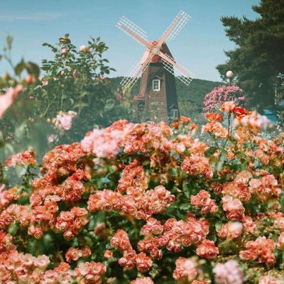 微博-随时随地发现新鲜事